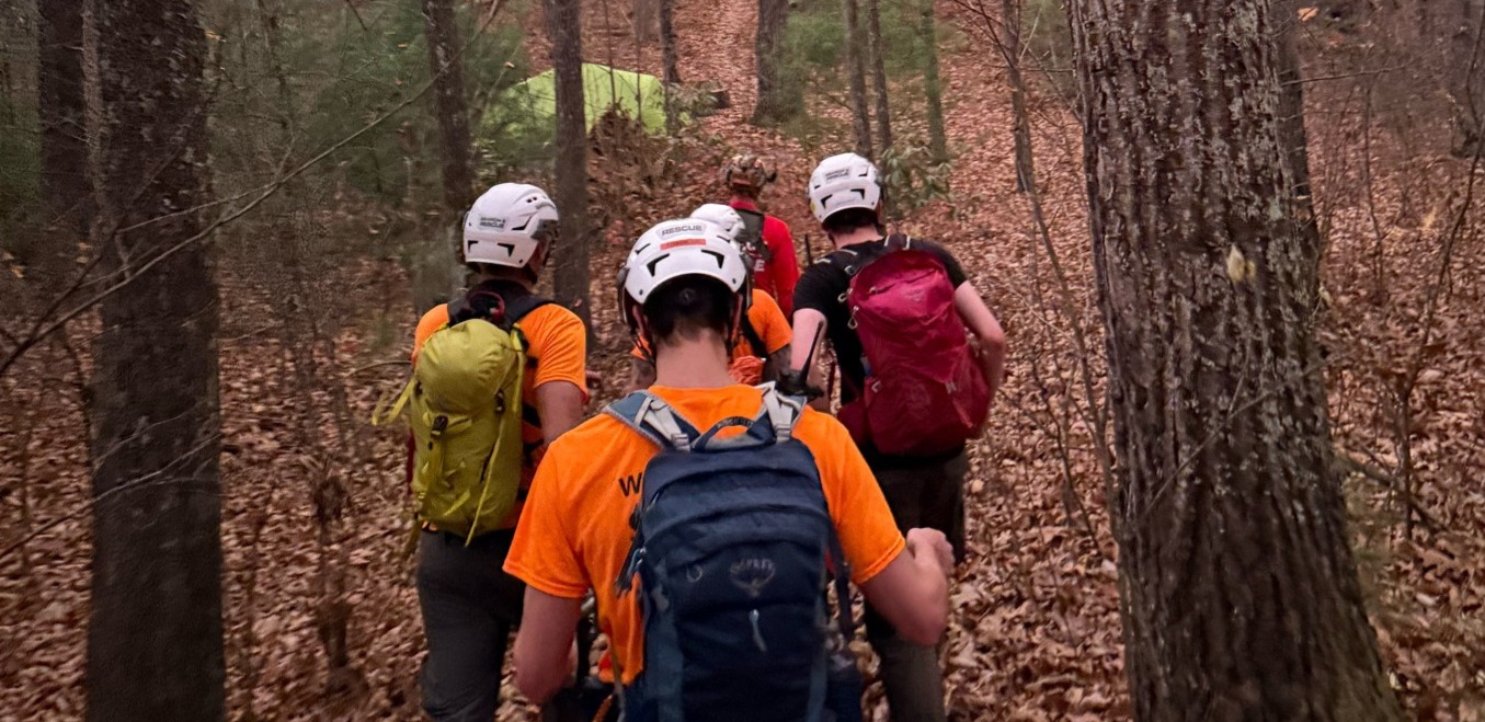 Team rescues hiker near Princess Arch
