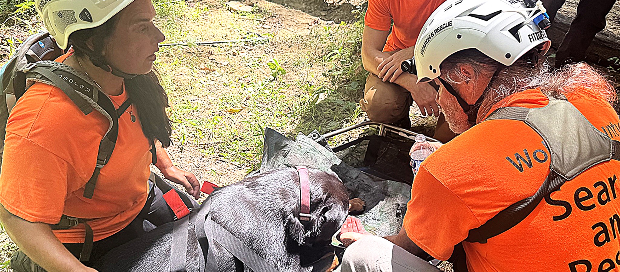 Rottweiler rescued